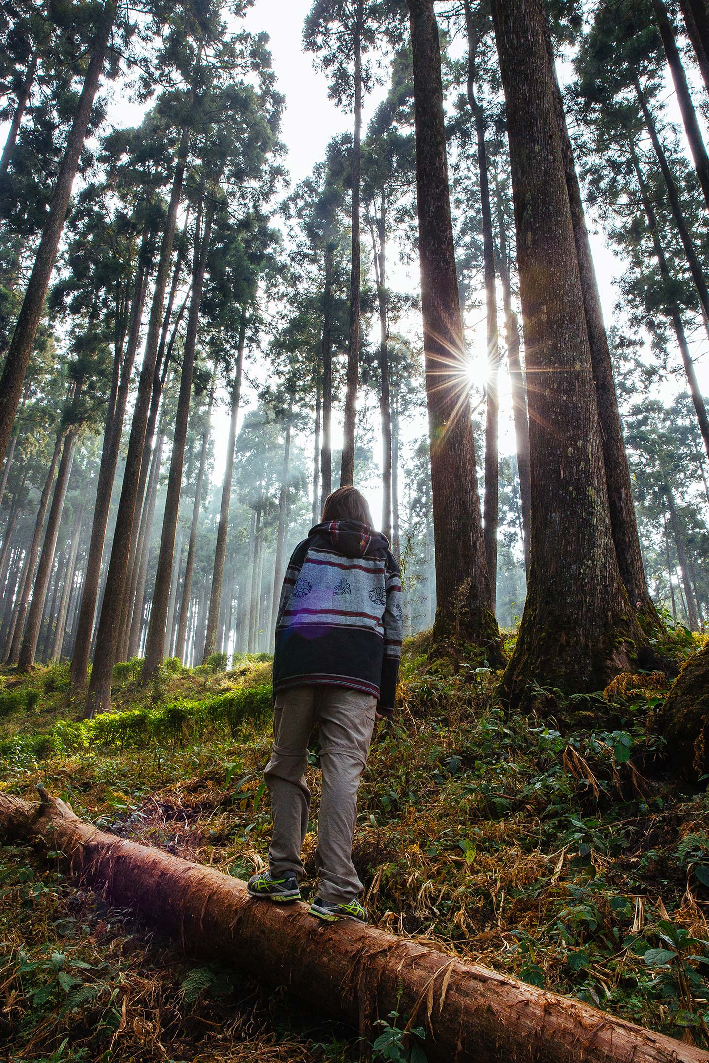 Antipodeans Abroad UX & UI Design, Web Development