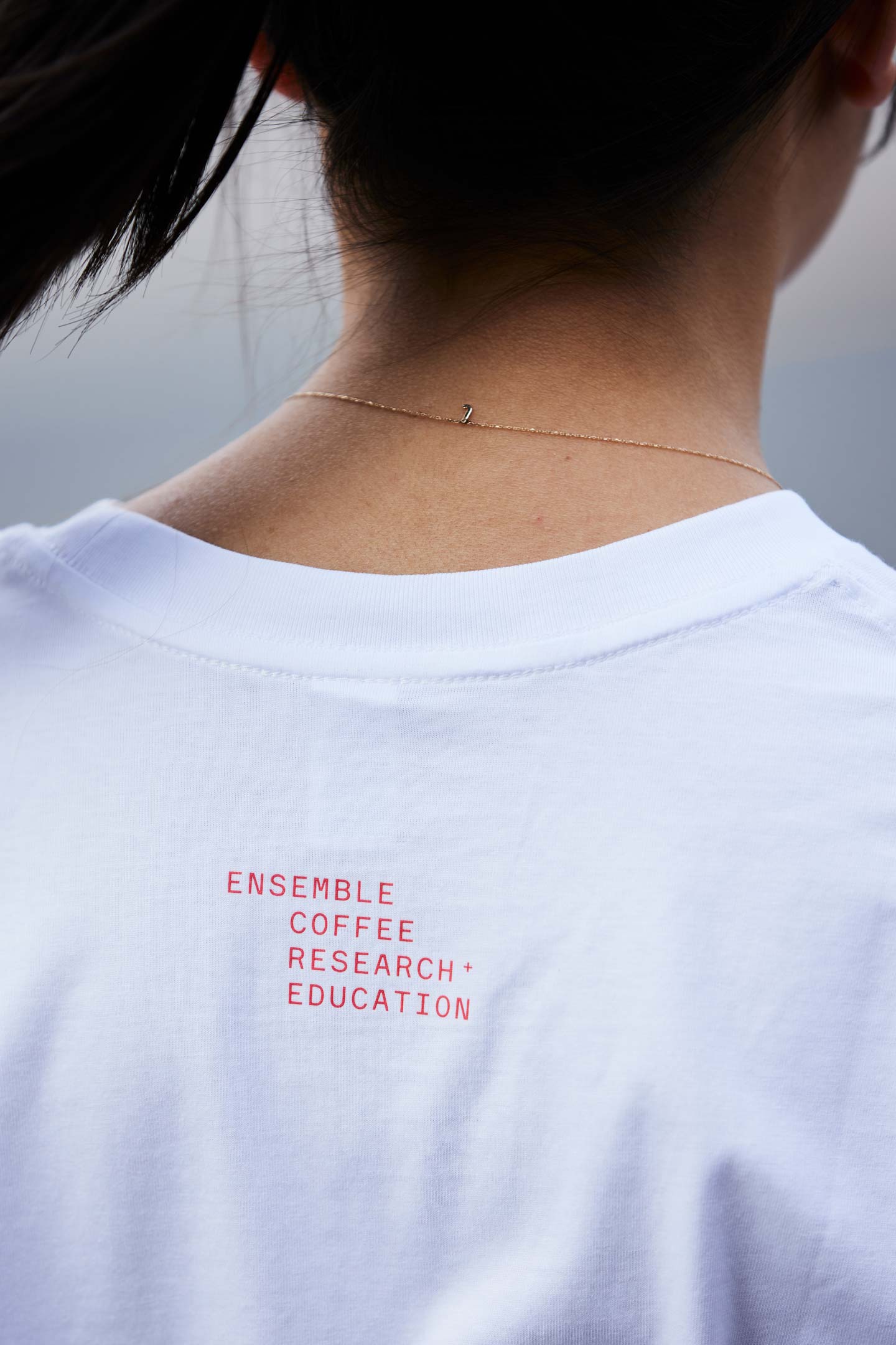 ECRE Brand Application Design