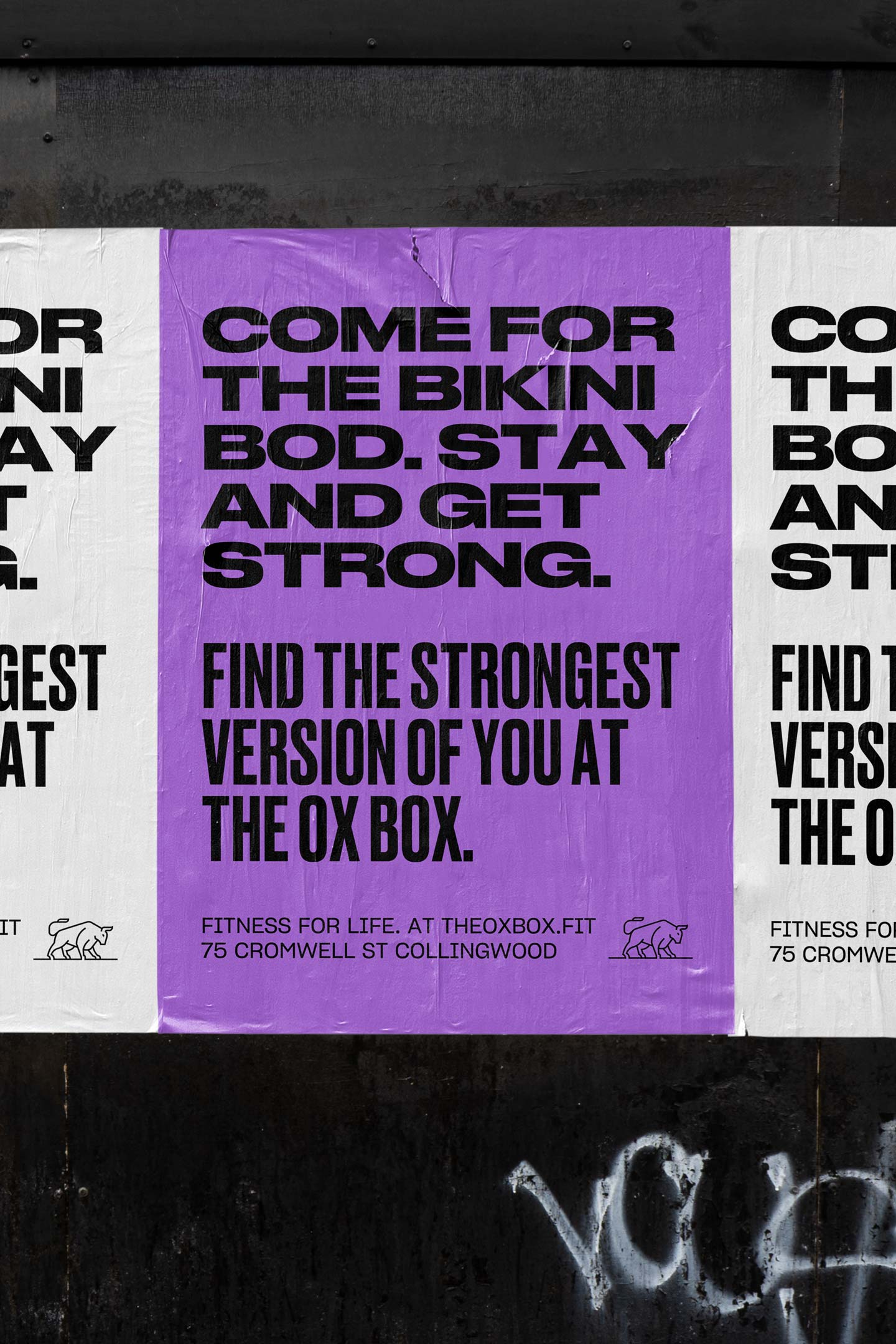 The Ox Box Brand Application Design, OOH Advertising Design, UX & UI Design